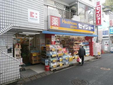 くすりセイジョー二子新地店