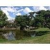 公園