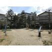 公園