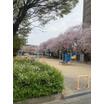 公園