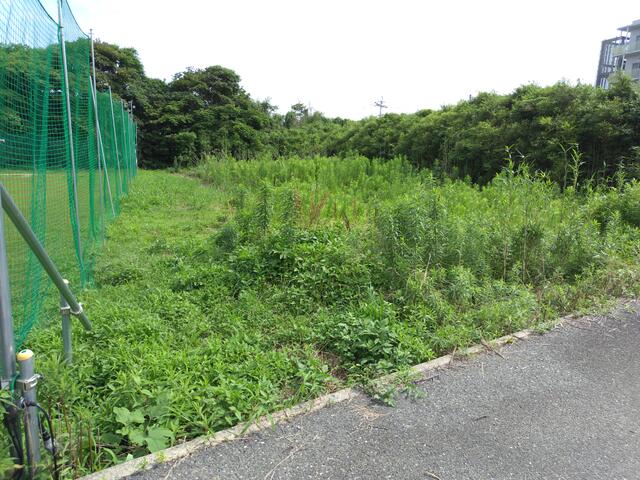 物件画像 福岡市西区 今津 資材置場用地