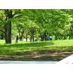 公園