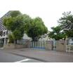 幼稚園、保育園