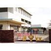 幼稚園、保育園