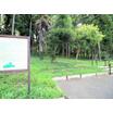 公園
