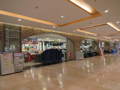 ブルーミングブルーミー