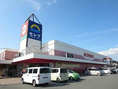 キョーエイセレブ店