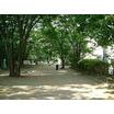 公園