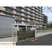 幼稚園、保育園