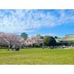 公園
