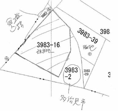 隣地関係（公図抜粋）道路の個人は他人所有です。