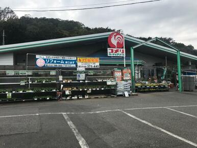 コメリハード＆グリーン岩舟店