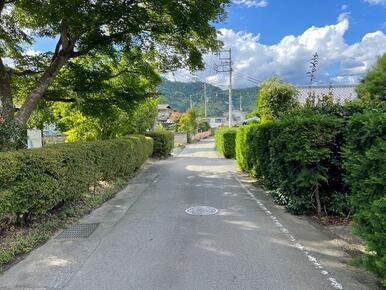 前面道路