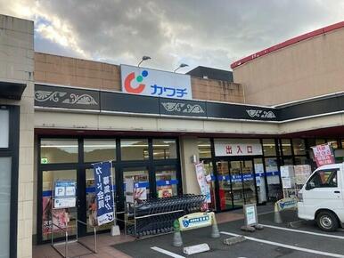カワチ薬品 茂木店