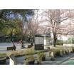 公園
