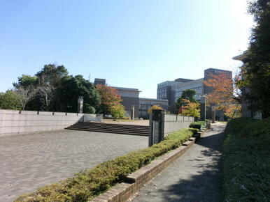 私立東京都市大学横浜キャンパス