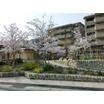 公園