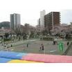 公園
