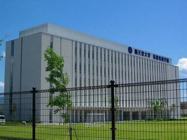 私立順天堂大学保健看護学部