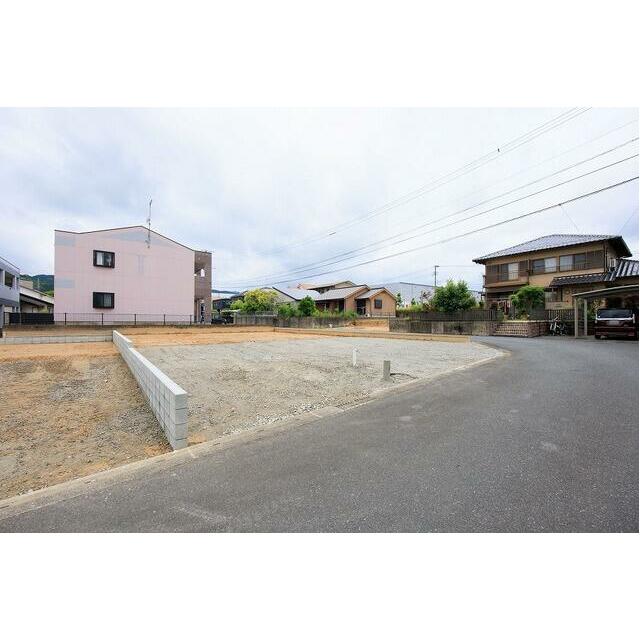 1号地　現地（2026年6月5日撮影）