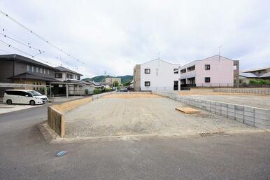 3号地　現地（2026年6月5日撮影）