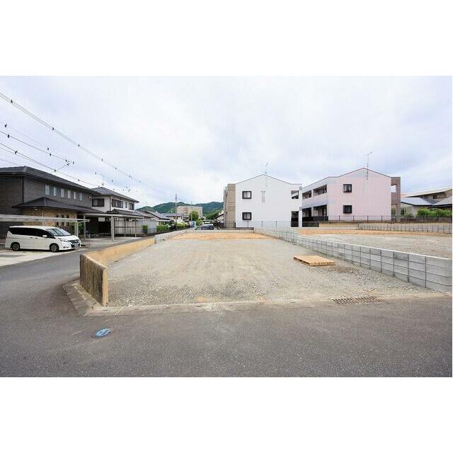 3号地　現地（2026年6月5日撮影）