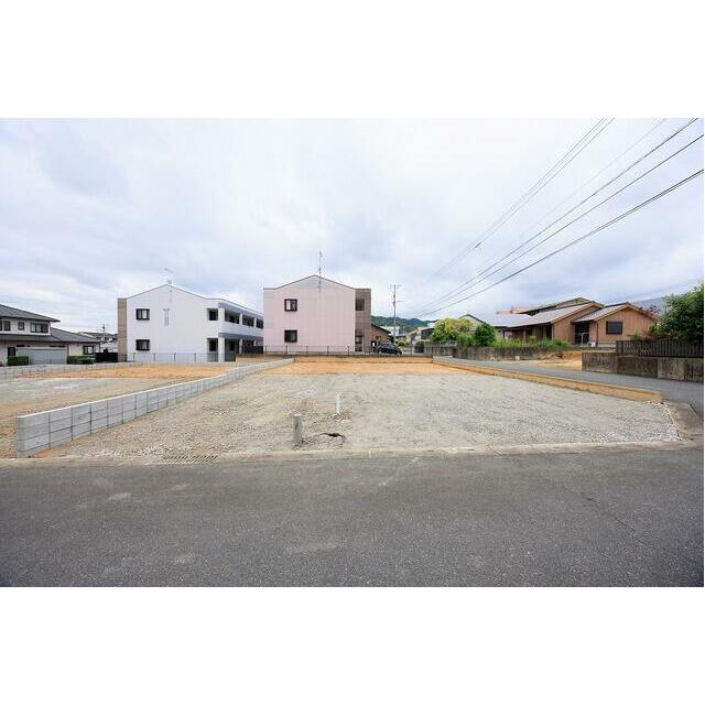 1号地　現地（2026年6月5日撮影）