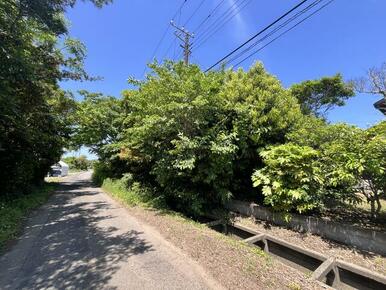 物件南東側から撮影した写真です。道路と敷地の間は水路がありますので、乗り入れには造成が必要です。