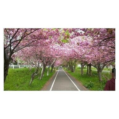 セブンイレブン札幌栄通7丁目店