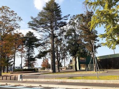 栃木県総合運動公園