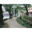 公園