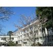 小学校