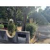 公園