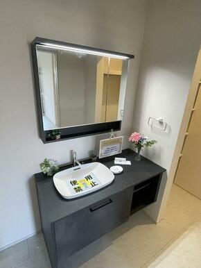 シャキッと一日を始める朝も素顔に戻る夜もこの洗面台から（1号棟）