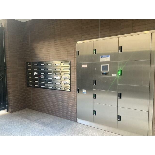 2025年3月撮影