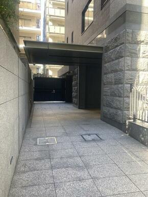 2025年3月撮影