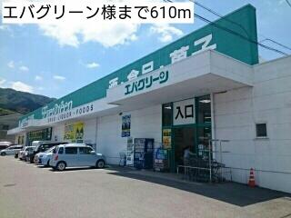 エバグリーン様