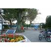 公園