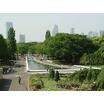 公園