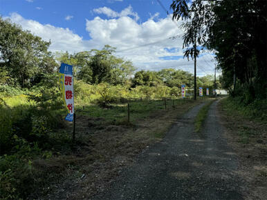 敷地西側より全景