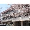 中学校