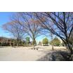 公園