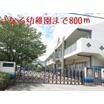 幼稚園、保育園