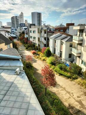 バルコニーからは緑道が見渡せとても気持ちよいお部屋です♪