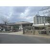 幼稚園、保育園