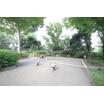 公園