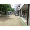 幼稚園、保育園