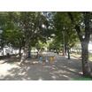 公園