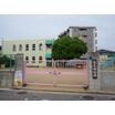 幼稚園、保育園