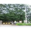 公園